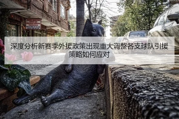 深度分析新赛季外援政策出现重大调整各支球队引援策略如何应对