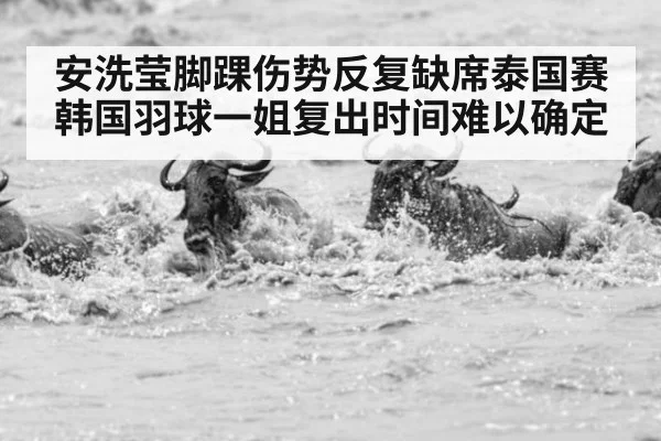 安洗莹脚踝伤势反复缺席泰国赛 韩国羽球一姐复出时间难以确定
